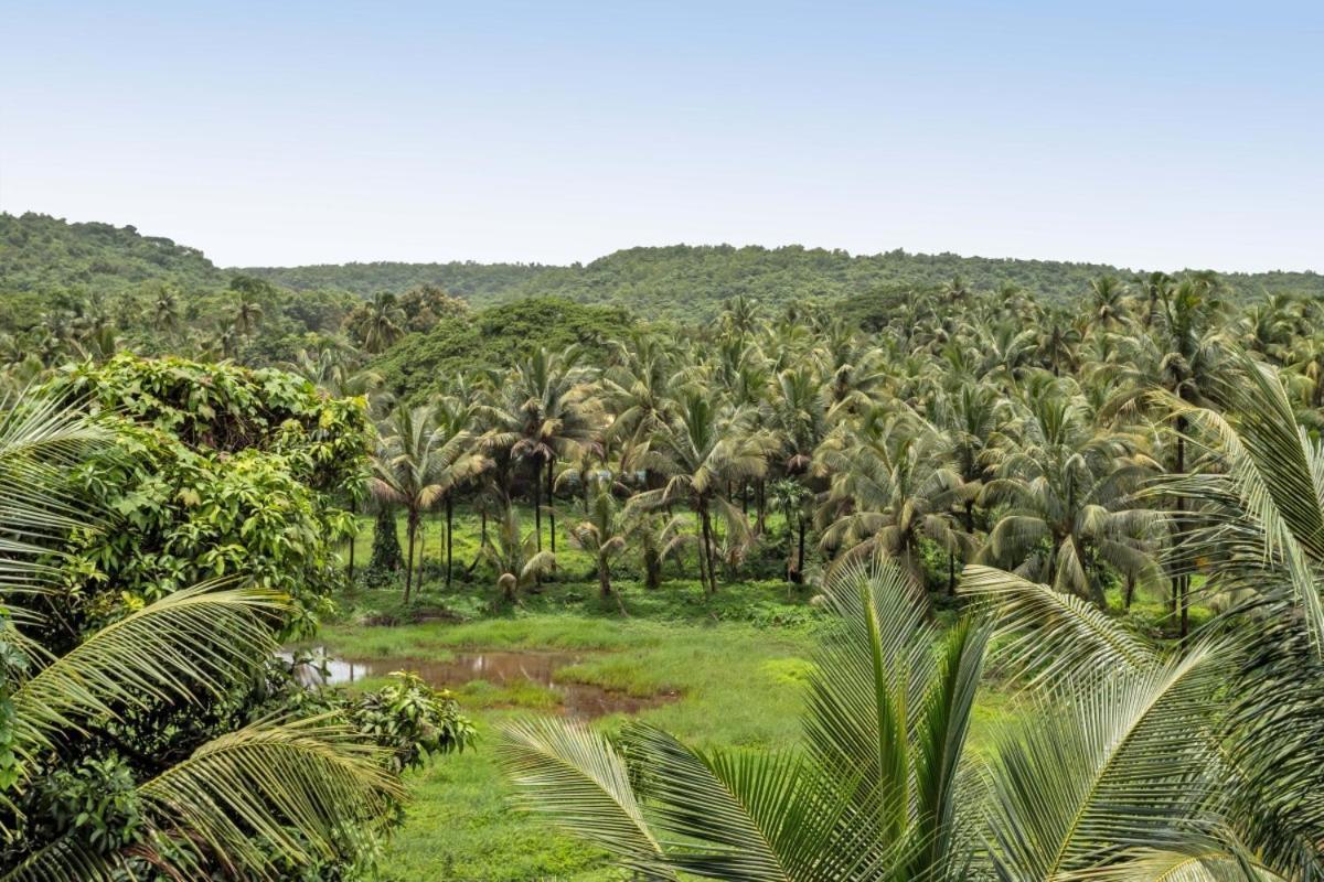 Ikigai Luxury Stays Old Goa Bagian luar foto